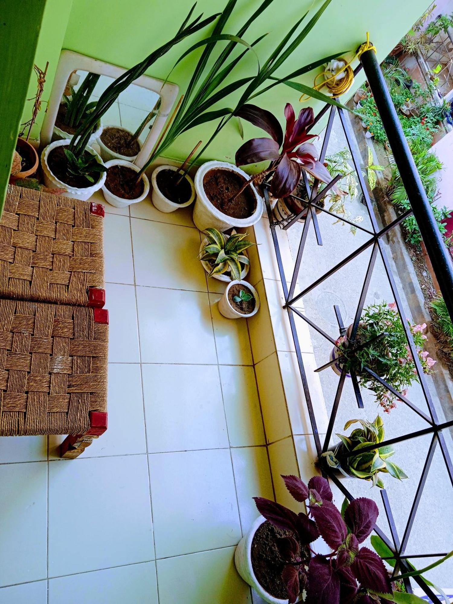Bhoboghure Homestay Santiniketan Bolpur Exterior foto